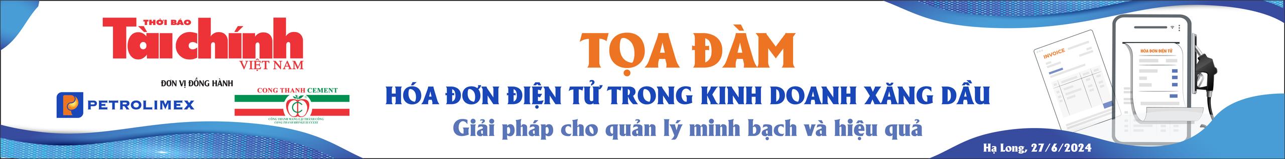 toa-dam-hoa-don-dien-tu-246-172024