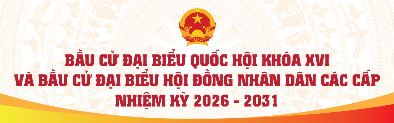 bau-cu-dai-bieu-quoc-hoi-khoa-xvi