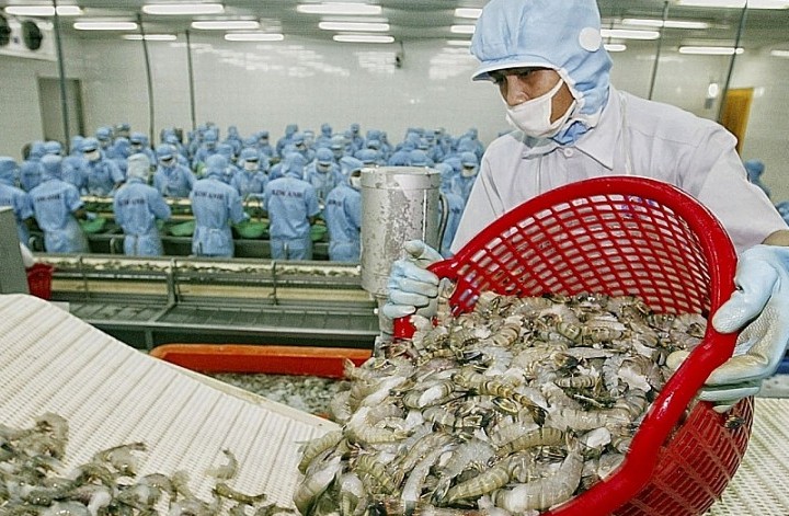 Xuất khẩu tôm sang Canada tăng cao nhất trong khối CPTPP