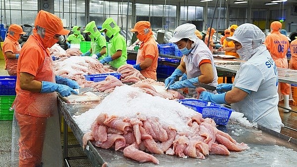 Vietnamese tra fish sector likely to enter new development cycle