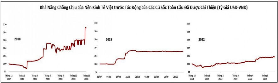 Chuyên gia VinaCapital: Chứng khoán Việt Nam sẽ phục hồi mạnh mẽ khi FED nới lỏng việc tăng lãi suất