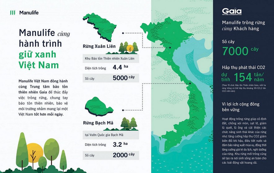 Manulife Việt Nam đã giúp trồng được hơn 7.000 cây phủ xanh hơn 7 héc-ta rừng.