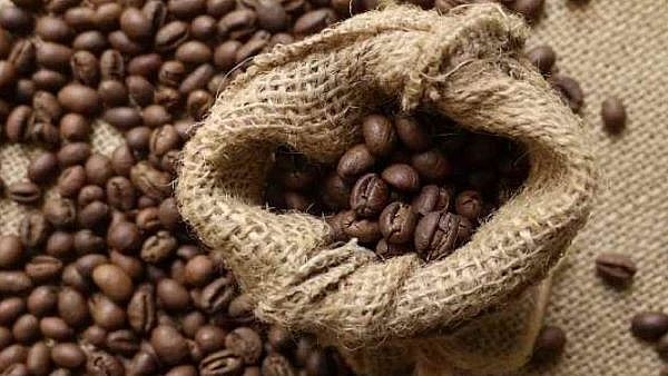 Giá cà phê hôm nay ngày 15/7 tại thị trường thế giới lại giảm sâu, Arabica rớt không ngừng