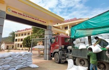 Cục Dự trữ Nhà nước khu vực Đông Bắc: Khẩn trương nhập lương thực, vật tư, bảo quản an toàn hàng dự trữ