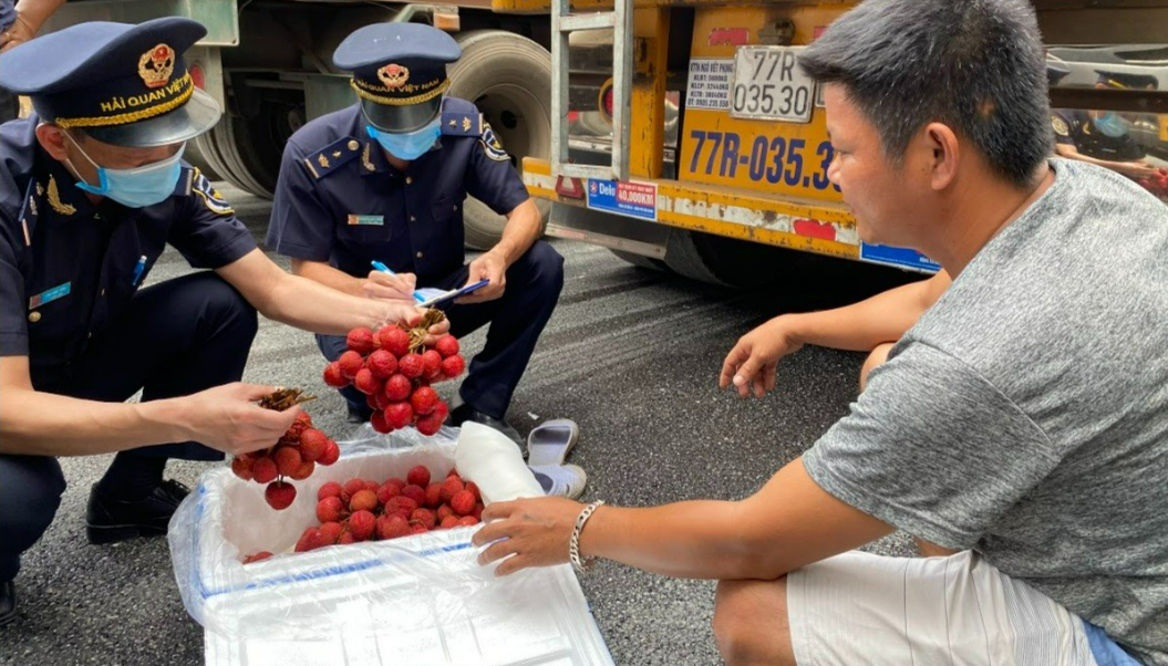 Hải quan Tân Thanh dành riêng một cửa để thông quan mặt hàng vải thiều xuất khẩu.