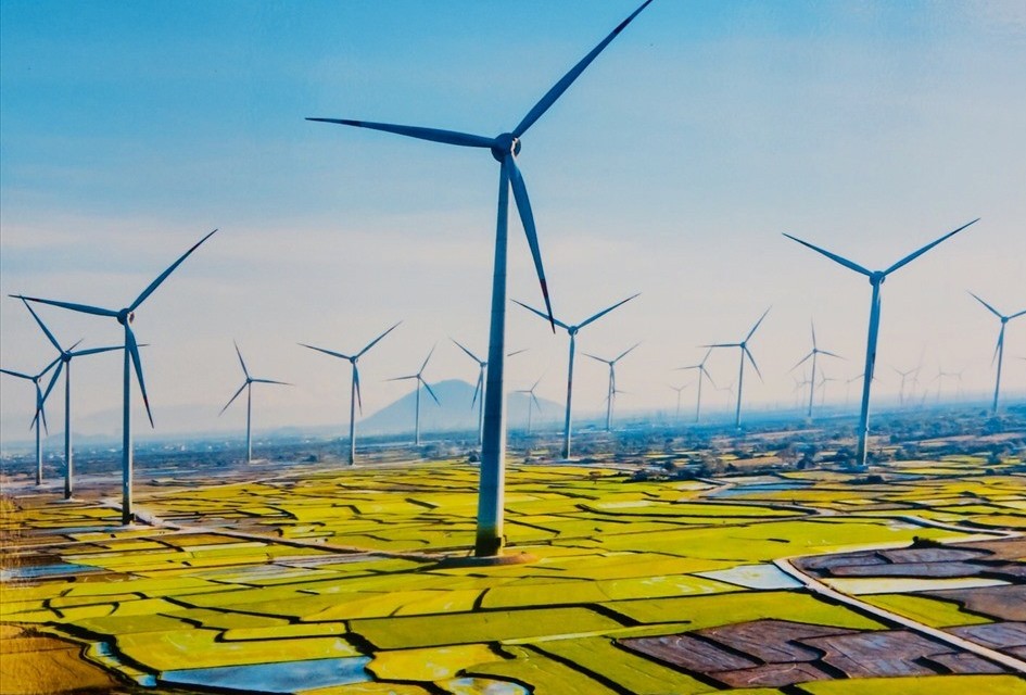 Tiềm năng tăng trưởng xanh của Việt Nam đang khuyến khích các nhà đầu tư châu Âu