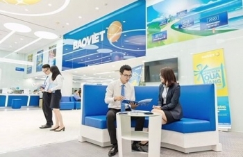 New policy boosts insurance market's long-term development