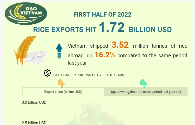 Rice exports hit 1.72 billion USD in H1 2022