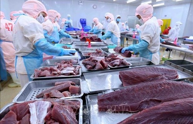 Tuna export expected to hit over 1 billion USD in 2022