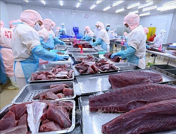 Tuna export expected to hit over 1 billion USD in 2022