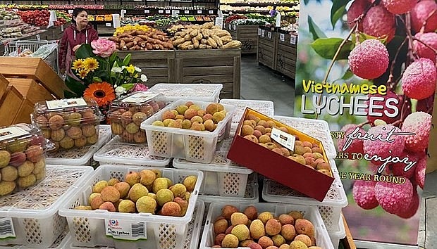 Vietnam, Australia post record high in two-way trade