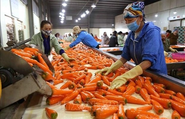 Vietnam aims to be one of top ten global farm produce processors