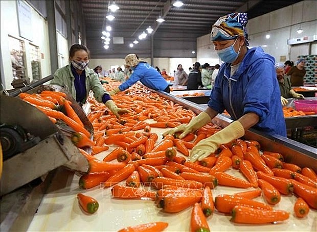 Vietnam aims to be one of top ten global farm produce processors