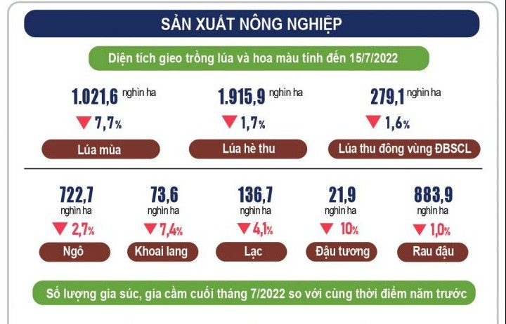 Sản xuất nông nghiệp tính đến ngày 15/7