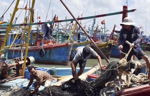 Bà Rịa - Vũng Tàu: Giá xăng dầu giảm, ngư dân phấn khởi vươn khơi