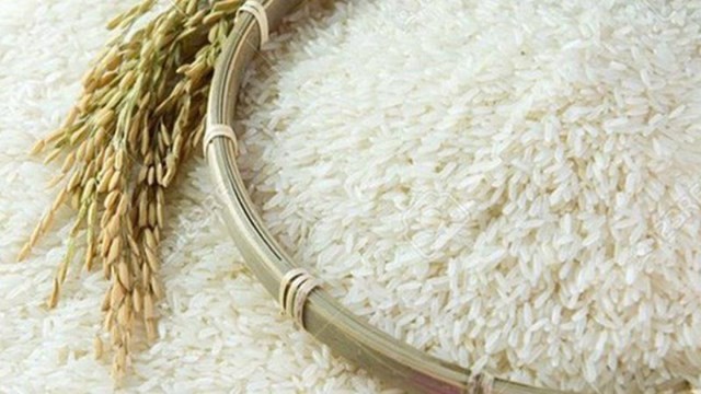 Giá lúa gạo hôm nay 4/8: Giá gạo nguyên liệu điều chỉnh tăng