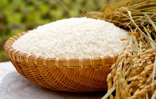 Giá lúa gạo hôm nay ngày 10/8 ổn định