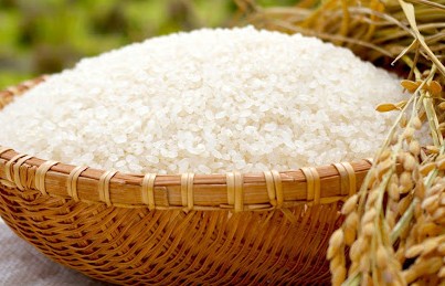 Giá lúa gạo hôm nay ngày 10/8 ổn định