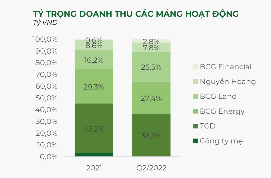 Bamboo Capital: IPO BCG Land trong quý III, tự tin hoàn thành kế hoạch năm 2022