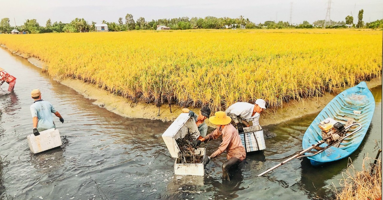 nông nghiệp