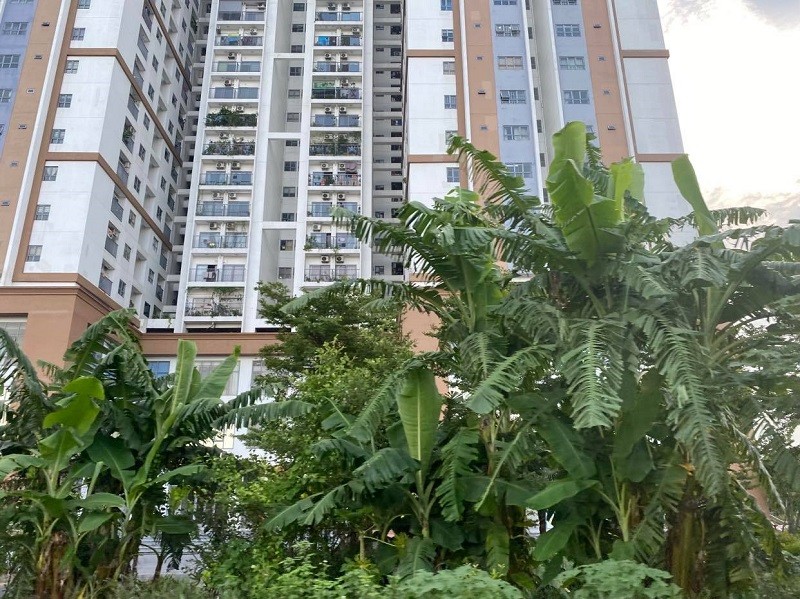 Thị trường bất động sản cần cơ hội chuyển đổi từ giai đoạn chờ đợi sang hành động