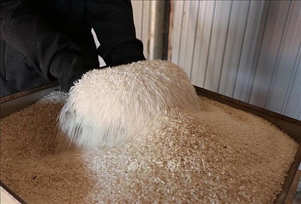 Rice exports up but prices down in seven months