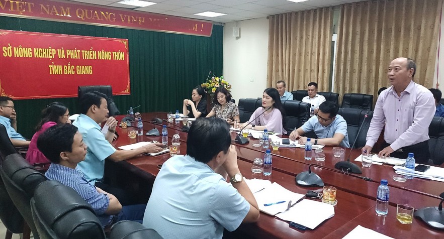 Bắc Giang sẽ có hơn 160 xã, phường tham gia chính sách hỗ trợ bảo hiểm nông nghiệp với con lợn
