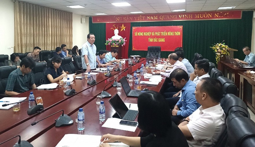 Bắc Giang sẽ có hơn 160 xã, phường tham gia chính sách hỗ trợ bảo hiểm nông nghiệp với con lợn