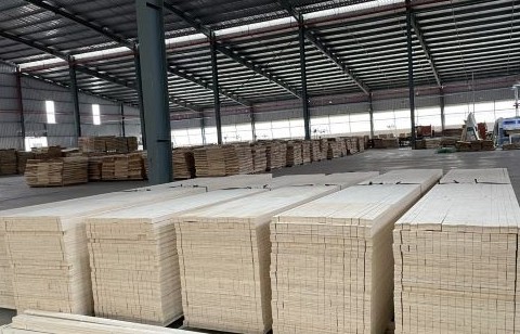Hoa Kỳ chưa có quyết định áp thuế chống bán phá giá đối với gỗ dán cứng của Việt Nam