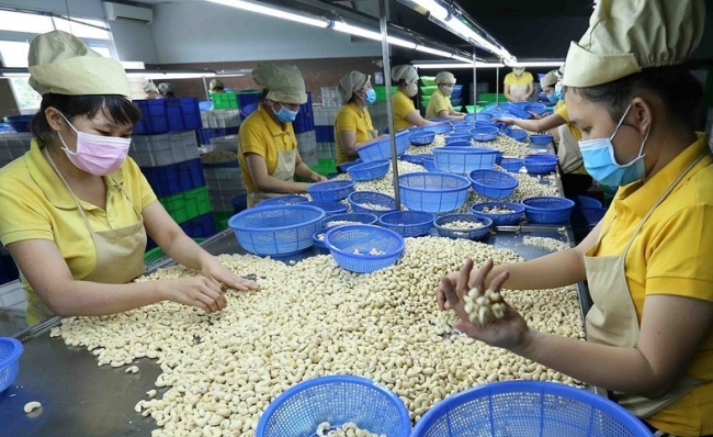 Báo động tình trạng tranh chấp và lừa đảo trong xuất khẩu hàng hoá