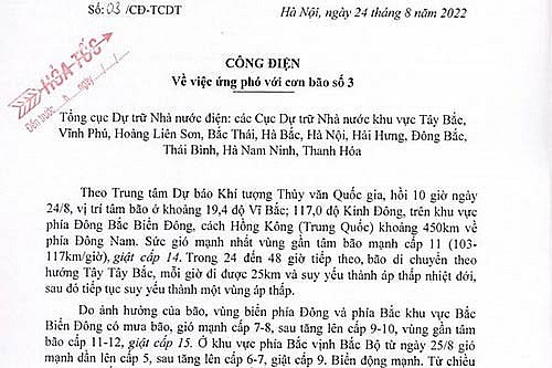 Tổng cục Dự trữ Nhà nước: Chỉ đạo các cục dự trữ khu vực ứng phó với cơn bão số 3