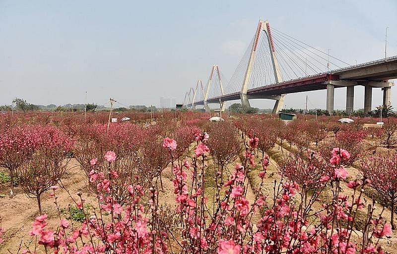 Đề xuất 2 phương án nghỉ Tết Nguyên đán Quý Mão năm 2023