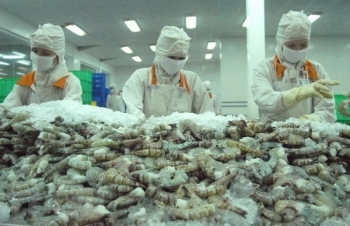 Agro-forestry-aquatic product exports rise over 13% in eight months