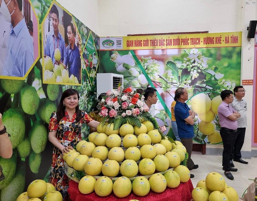 Hà Tĩnh: Mở rộng kênh phân phối, tiêu thụ bưởi Phúc Trạch qua sàn thương mại điện tử