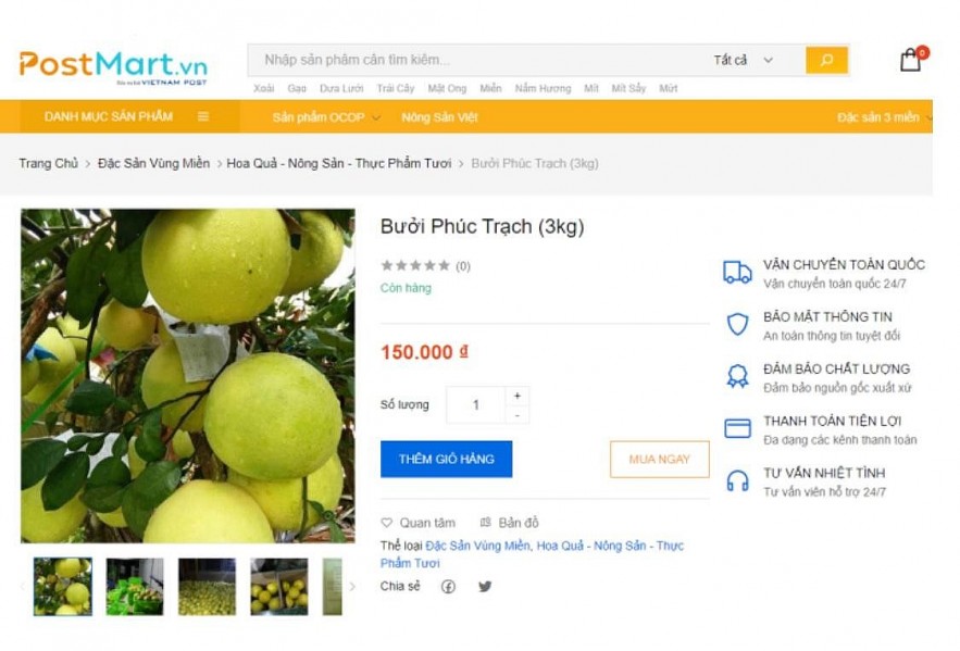 Hà Tĩnh: Mở rộng kênh phân phối, tiêu thụ bưởi Phúc Trạch qua sàn thương mại điện tử