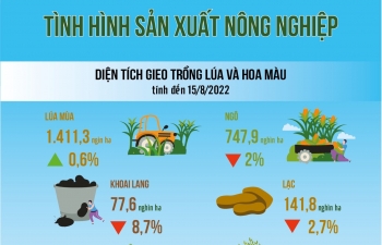 Infographics: Sản xuất nông nghiệp và thủy sản cả nước 8 tháng năm 2022