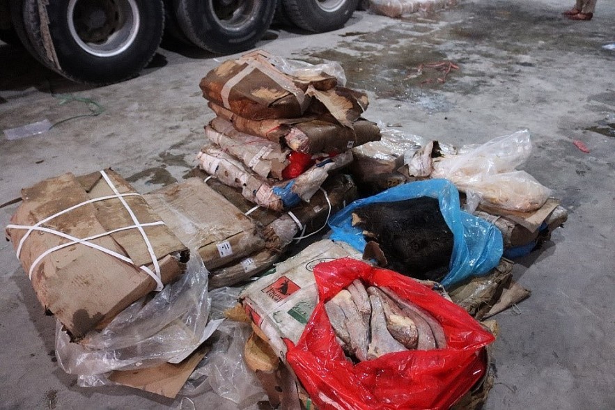 Lạng Sơn: Bắt giữ vụ vận chuyển 86 tấn thực phẩm đông lạnh không rõ nguồn gốc