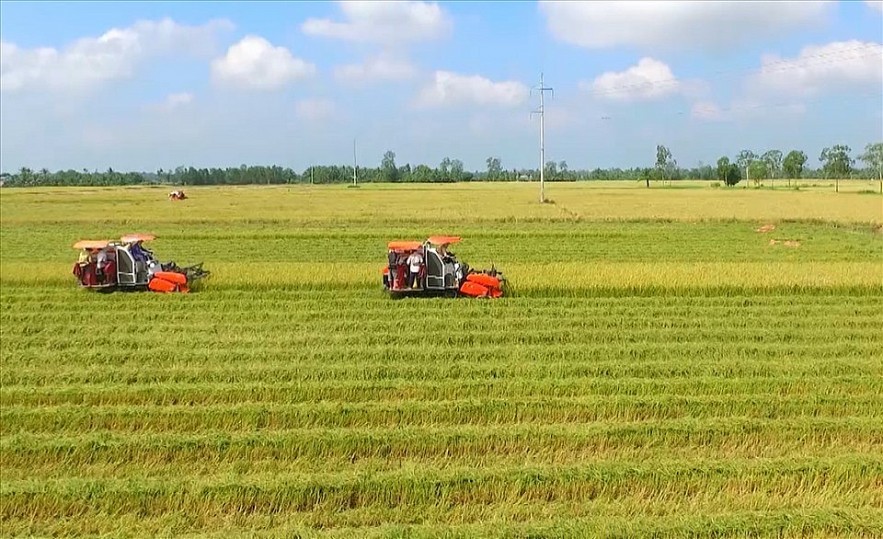 Bộ Tài chính đề xuất sửa quy định về quản lý, sử dụng đất trồng lúa