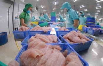 Shrimp export falling, tra fish up
