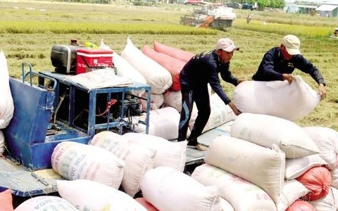 Bộ Nông nghiệp và Phát triển nông thôn nói gì về thông tin Thái Lan hợp tác với Việt Nam nâng giá gạo?