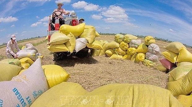 Agricultural sector persists 50 billion USD export target