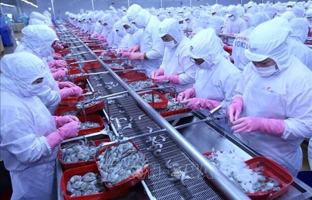 Vietnam’s aquatic exports to Russia record strong rebound