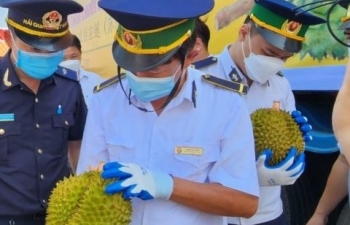 40 tấn sầu riêng đầu tiên xuất khẩu chính ngạch sang Trung Quốc