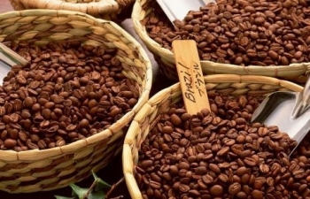 Giá cà phê hôm nay (29/9): Tăng 400 đồng/kg​​​​​​​