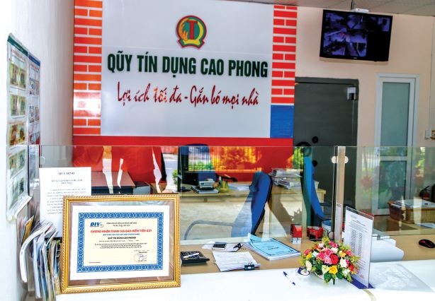 Nâng cao vai trò Bảo hiểm tiền gửi Việt Nam trong cơ cấu lại hệ thống các tổ chức tín dụng
