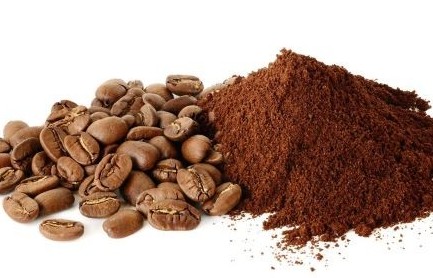 Giá cà phê hôm nay (23/9): Giá cà phê trong nước giảm 200 đồng/kg
