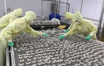 Total fishery output reaches 6.75 million tonnes in nine months