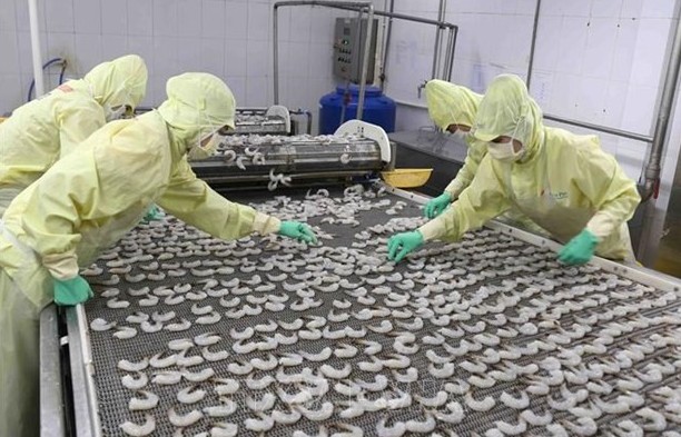 Total fishery output reaches 6.75 million tonnes in nine months