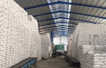 Cục Dự trữ Nhà nước khu vực Bắc Tây Nguyên sẵn sàng ứng phó bão số 4