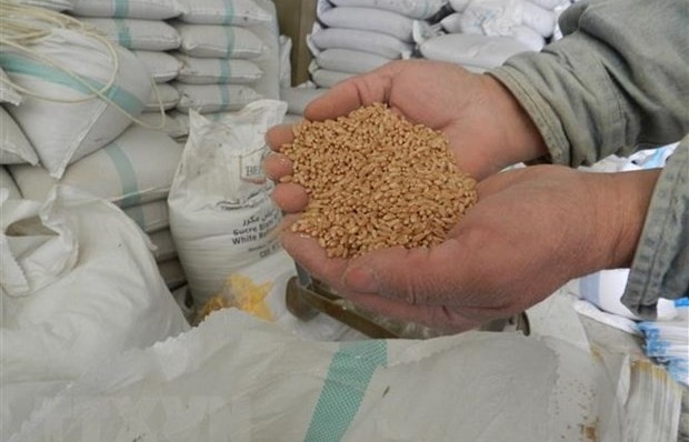 ADB công bố gói hỗ trợ 14 tỷ USD giải quyết khủng hoảng lương thực